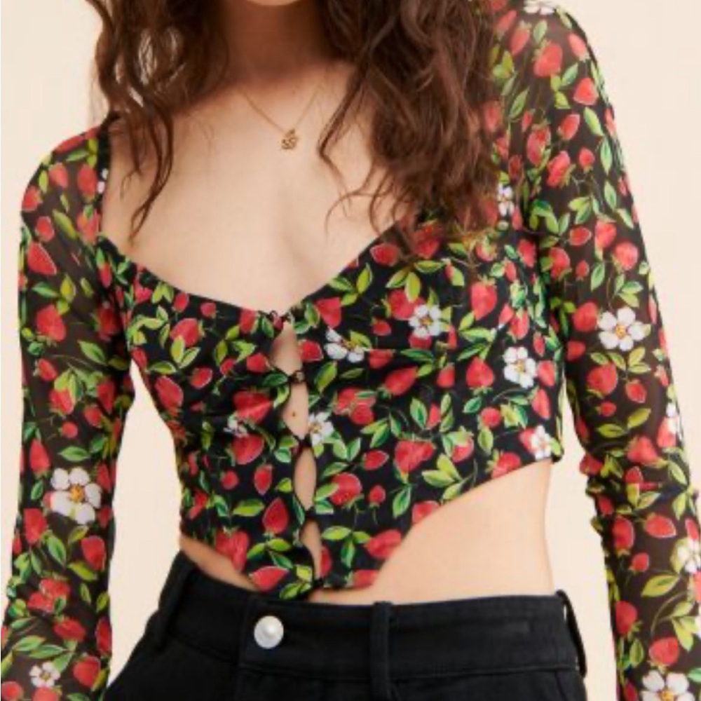 Urban Outfitters Mesh Strawberry Corset Crop Top